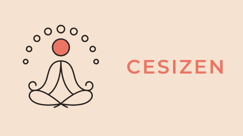 CESIZen